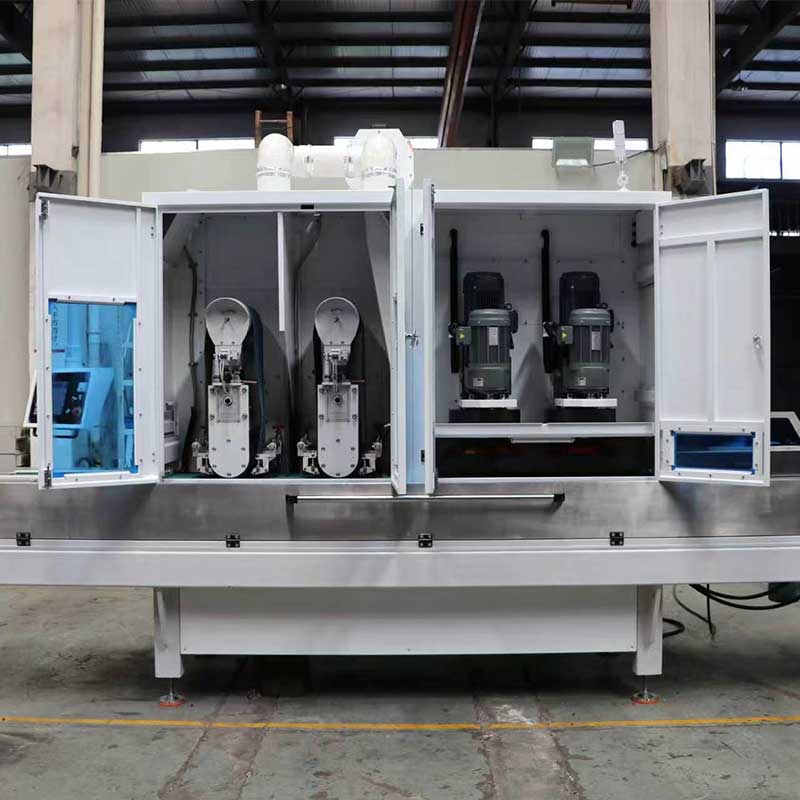 SD300-2WJS+2D Fine blanking parts deburring and edge rounding machine