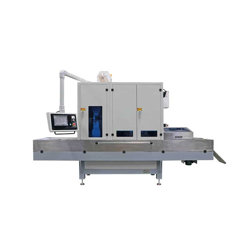 SD300-2WJS+2D Fine blanking parts deburring and edge rounding machine