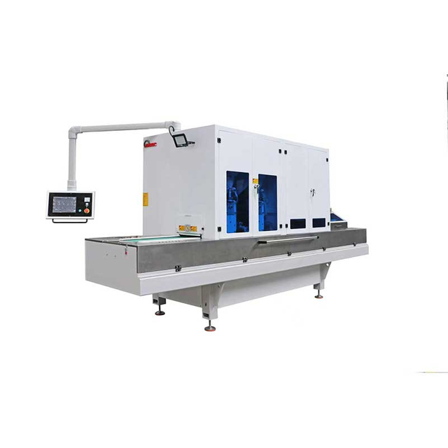 SD300-2WJS+2D Fine blanking parts deburring and edge rounding machine